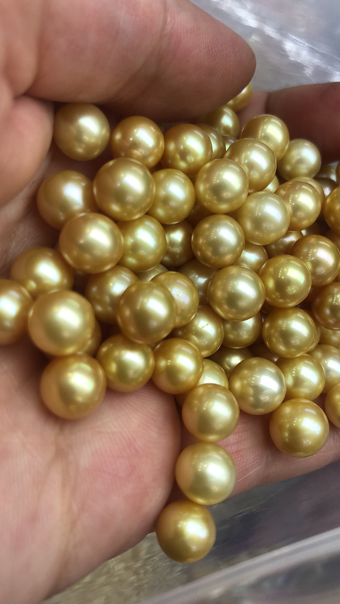 8-9 mm Golden pearls wholesale good quality AA  round shape,loose freshwater pearl with half or no hole drilled