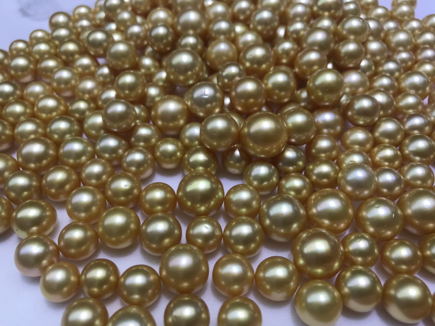 South sea golden pearls wholesales price,10-15 mm high quality AAAA perfect round nature loose south sea dark gold pearl with half or no hole.