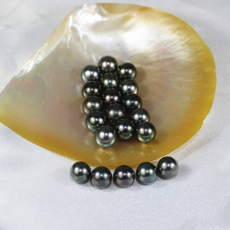 Tahitian round pearls 10-11mm wholesale AA natural loose half drilled