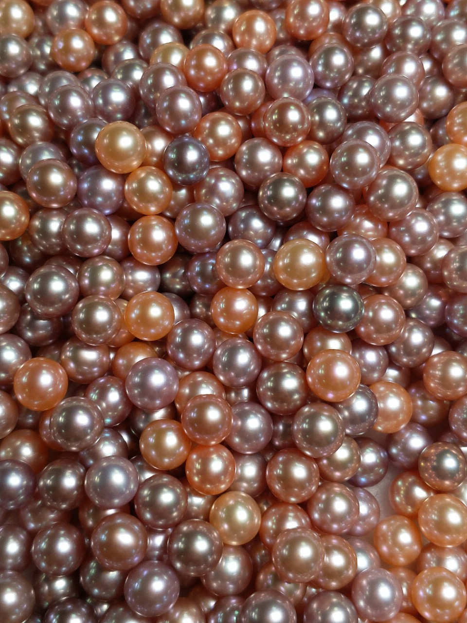 Natural freshwater pearls loose pearls champagne color pearls 7-7.5mm wholesale